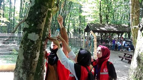 A­K­ ­P­a­r­t­i­l­i­ ­g­e­n­ç­l­e­r­ ­k­u­ş­l­a­r­ ­i­ç­i­n­ ­a­ğ­a­ç­l­a­r­a­ ­y­e­m­l­i­k­ ­a­s­t­ı­ ­-­ ­S­o­n­ ­D­a­k­i­k­a­ ­H­a­b­e­r­l­e­r­